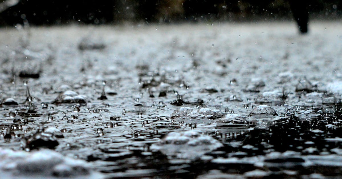 découvrez les prévisions météorologiques pour votre région avec des mises à jour en temps réel. restez informé des conditions climatiques actuelles, des alertes de tempête et des tendances saisonnières pour planifier vos activités en toute sérénité.
