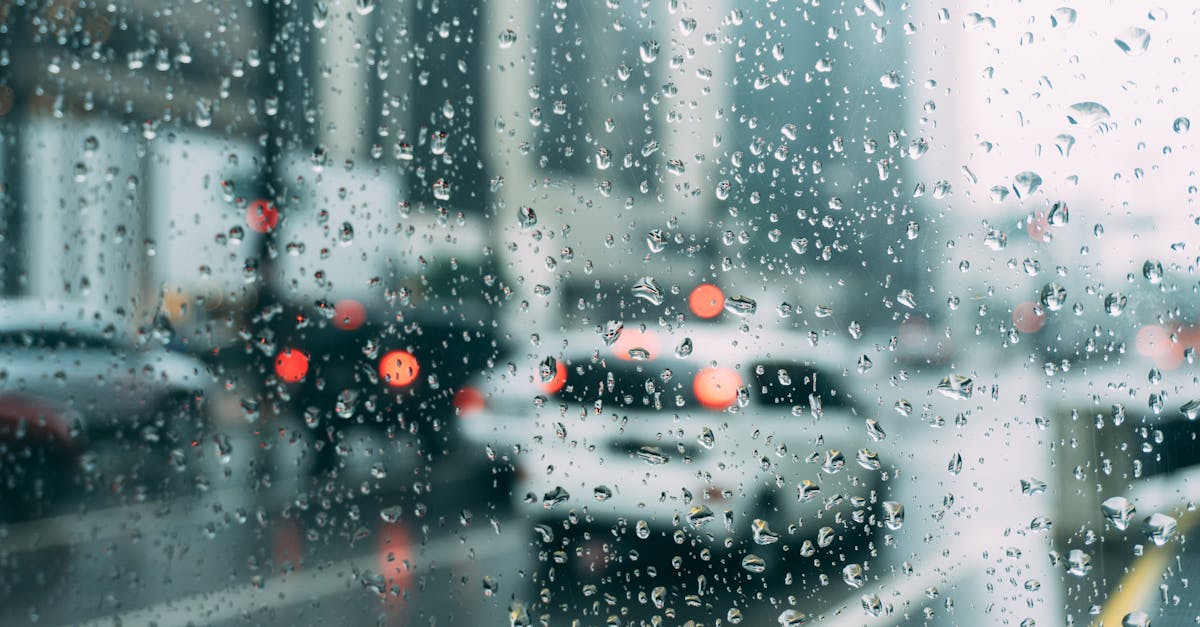 découvrez les prévisions météorologiques précises et à jour pour votre région. restez informé des conditions climatiques, des températures, des alertes intempéries et des conseils pratiques pour bien gérer votre quotidien en fonction du temps.