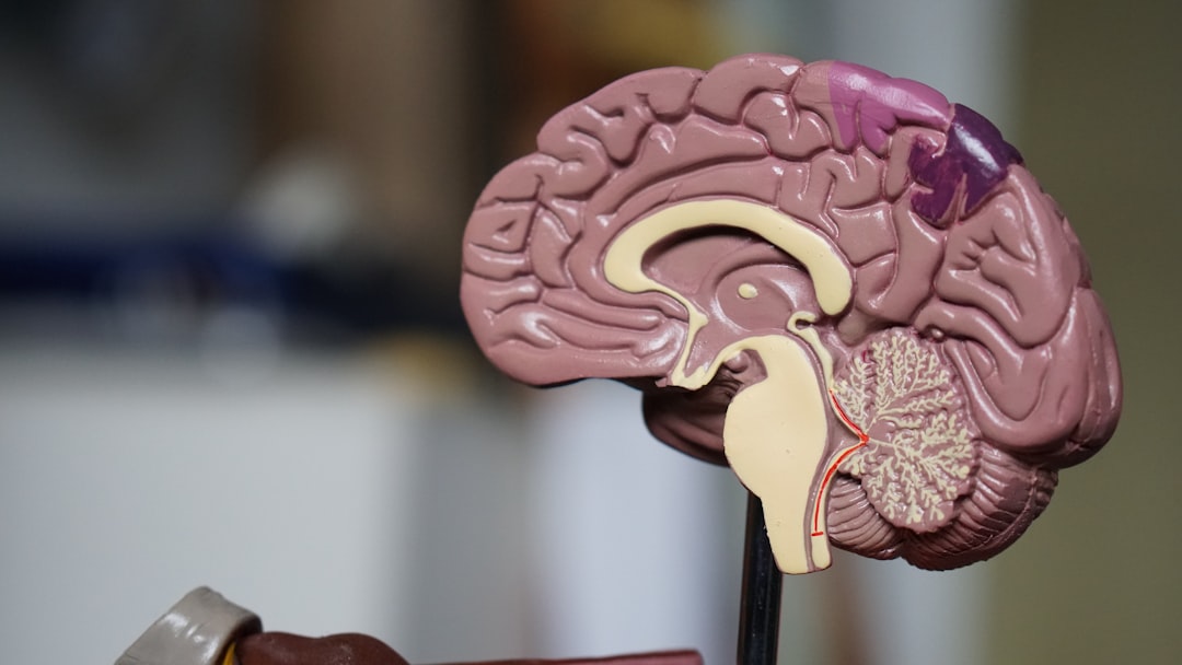 découvrez tout ce qu'il faut savoir sur les compétitions médicales : conseils de préparation, stratégies de réussite et ressources essentielles pour exceller dans votre parcours médical.